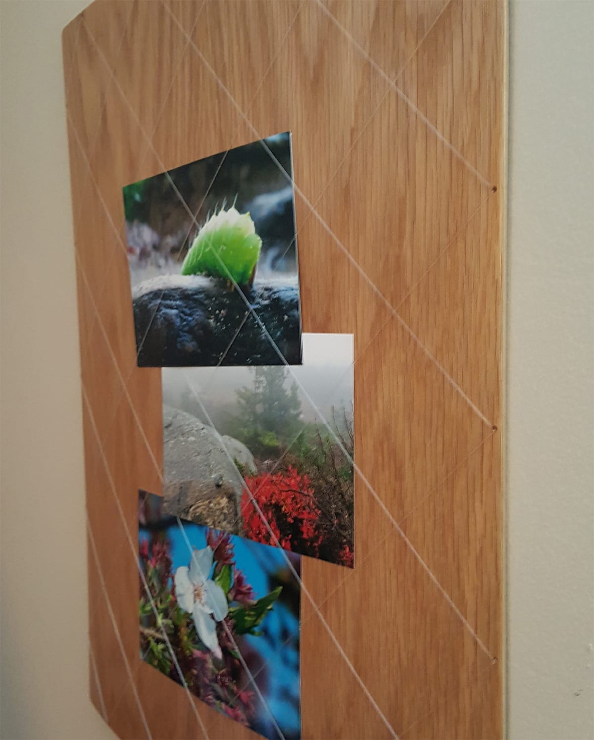 myPicboard Tack-less Bulletin Board Multiple Picture Frame in Oak